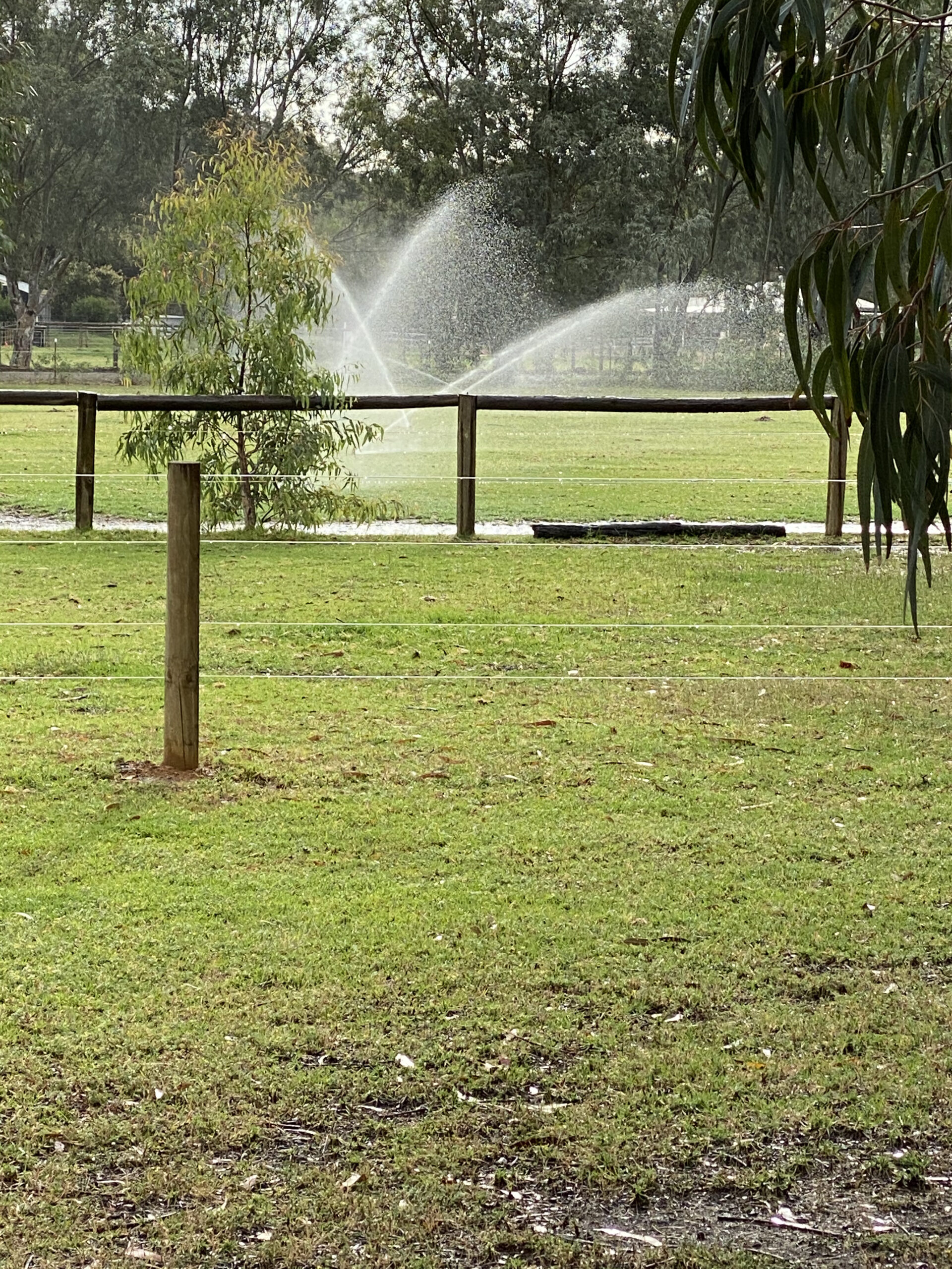 Equine Fencing